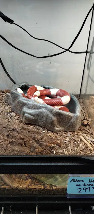 Aqua tropics Reptile 12