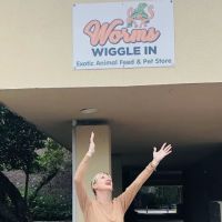 Worms Wiggle In. Pocket Pets. BY APPOINTMENT ONLY ico