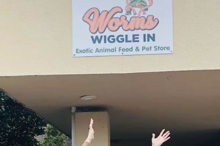 Worms Wiggle In. Pocket Pets. BY APPOINTMENT ONLY