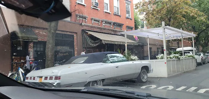 The Vet Set Carroll Gardens 2