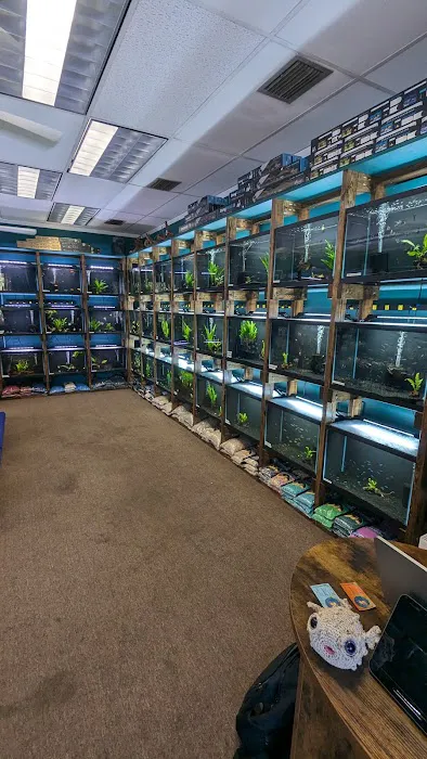 Heeeere Fishy Fishy 12