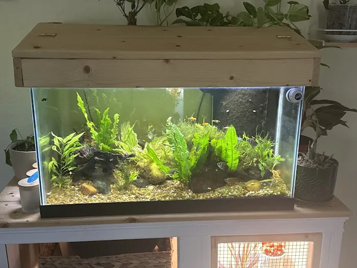 Heeeere Fishy Fishy 12