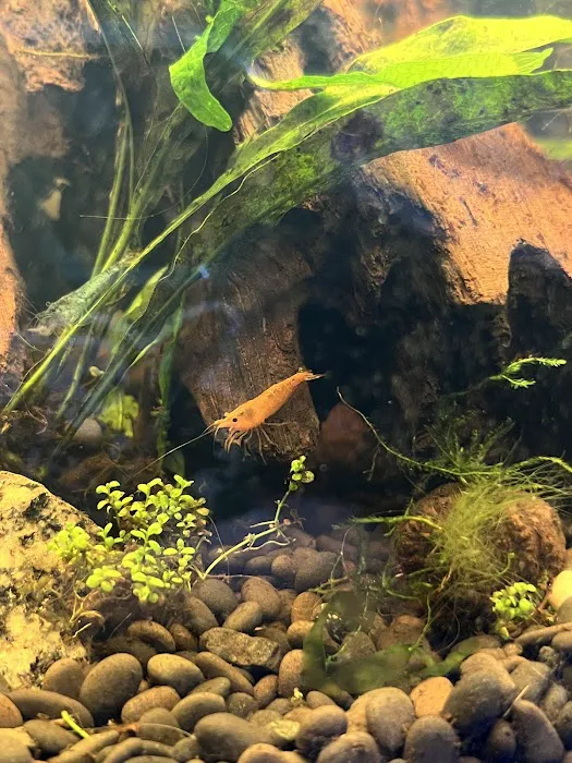 Heeeere Fishy Fishy 12
