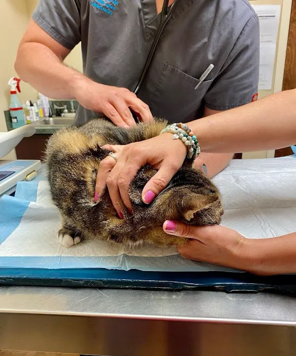 Carroll Gardens Veterinary Group 9