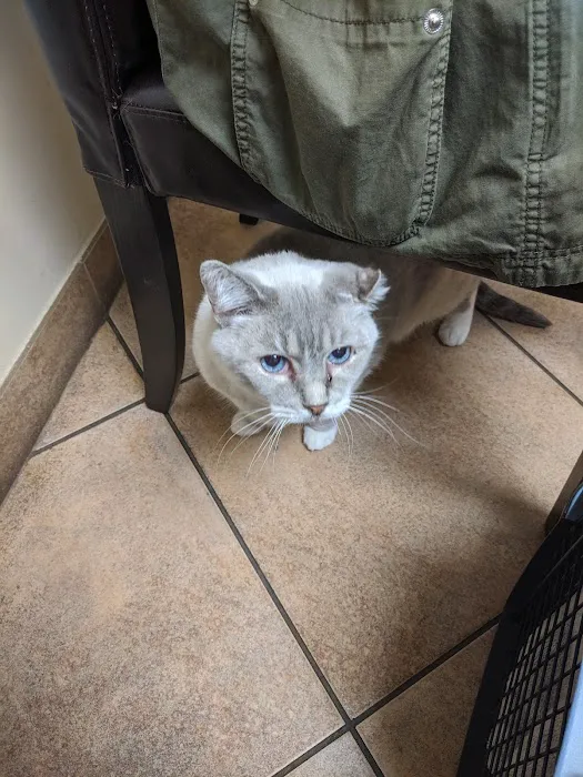 Carroll Gardens Veterinary Group 1