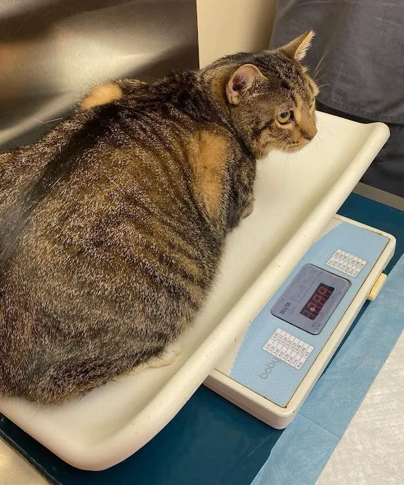 Carroll Gardens Veterinary Group 6