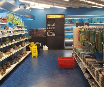 Pet Supermarket