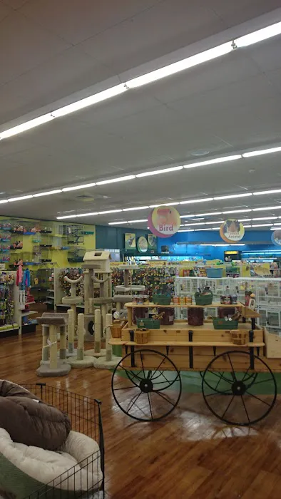 Pet Supermarket 6