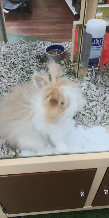 Pet Supermarket 4