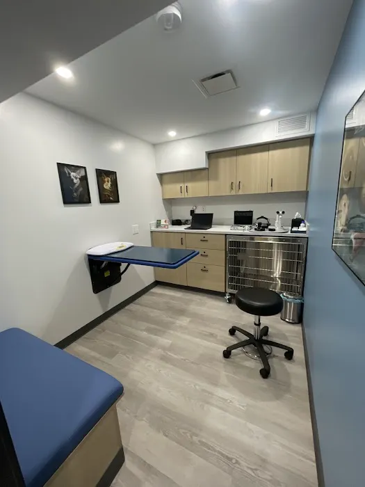 Eye Care For Animals - NYC 8