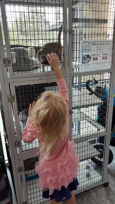 Pet Supermarket 12