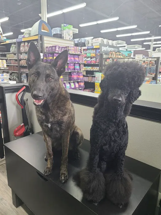 Pet Supermarket 12