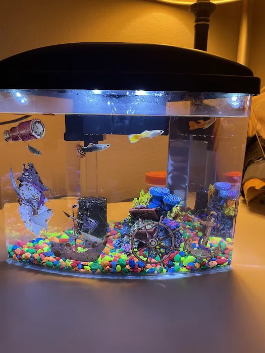 Pet Supermarket 12