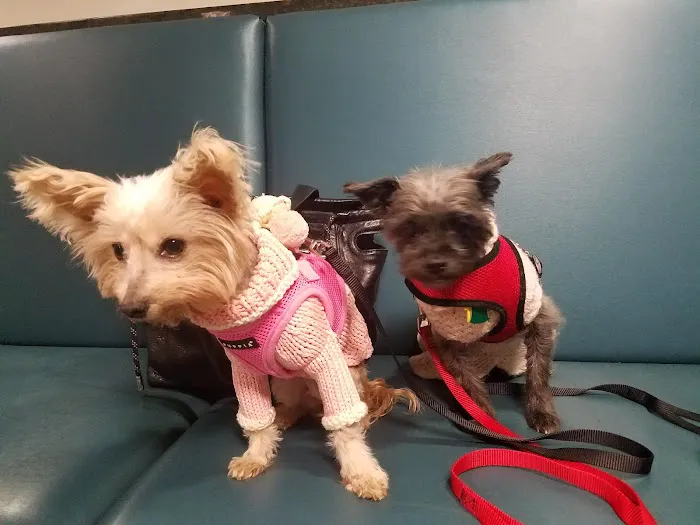 Center for Veterinary Care 6