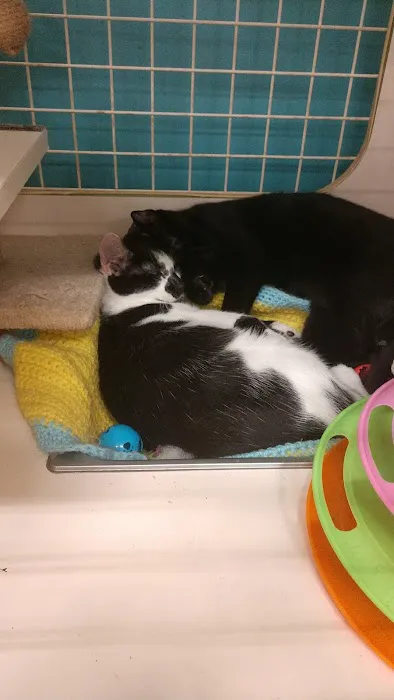 Petco 12