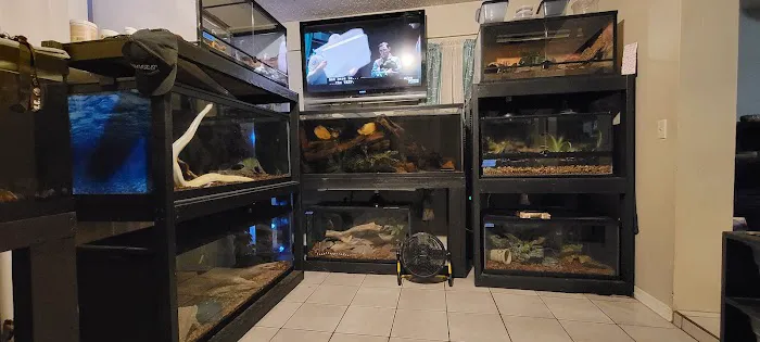 No Ways REPTIQUARIUM 5