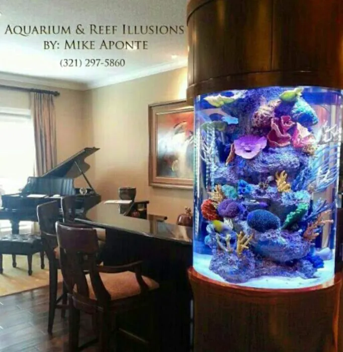 Aquarium Reef Illusions 12