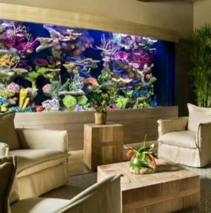Aquarium Reef Illusions 12