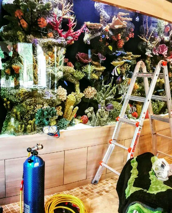 Aquarium Reef Illusions 12