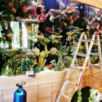 Aquarium Reef Illusions ico
