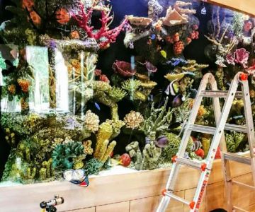Aquarium Reef Illusions