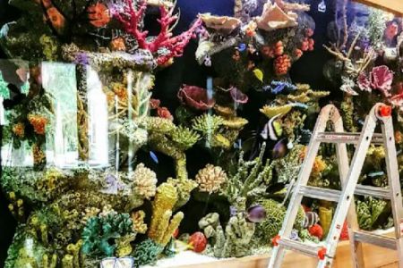 Aquarium Reef Illusions