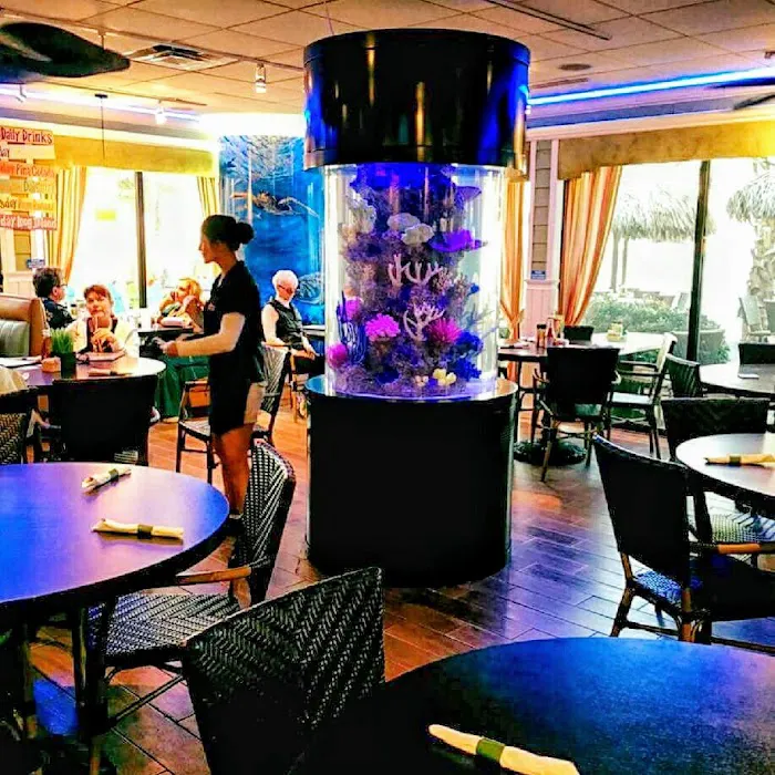 Aquarium Reef Illusions 12