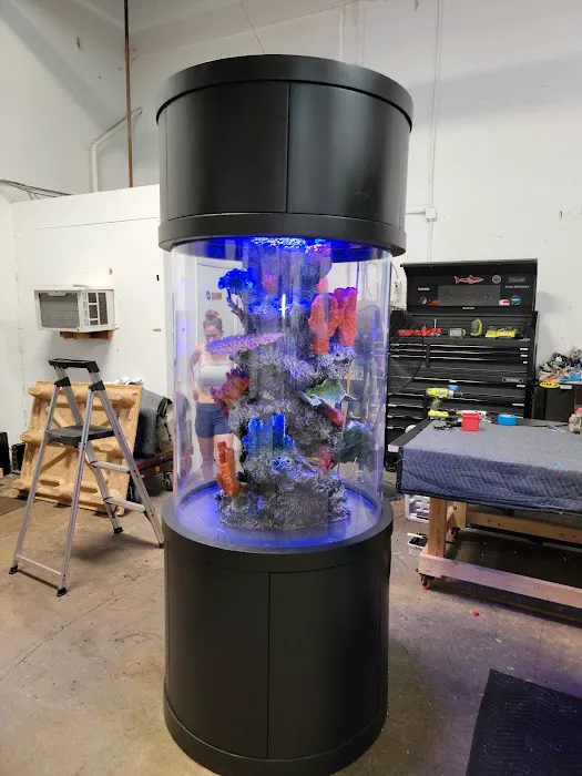 Aquarium Reef Illusions 12