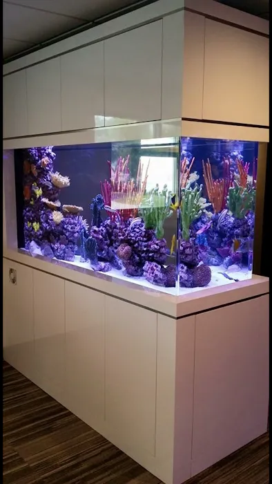 Aquarium Reef Illusions 12
