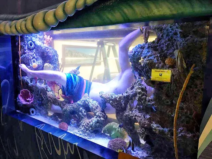 Aquarium Reef Illusions 12