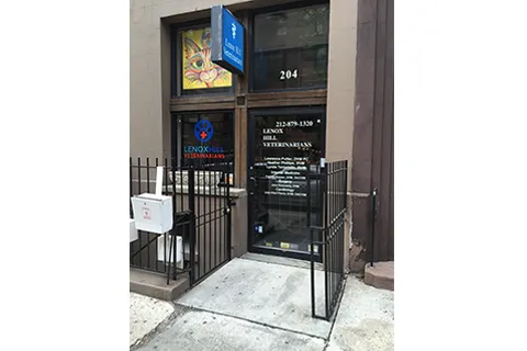 Lenox Hill Veterinarians 4