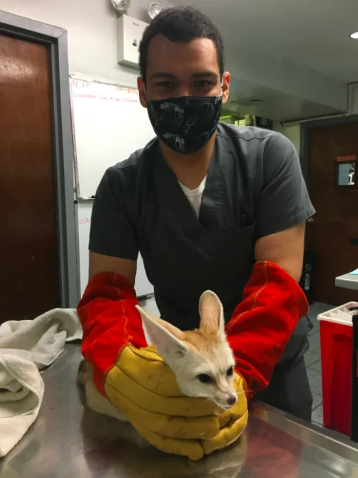 Lenox Hill Veterinarians 9