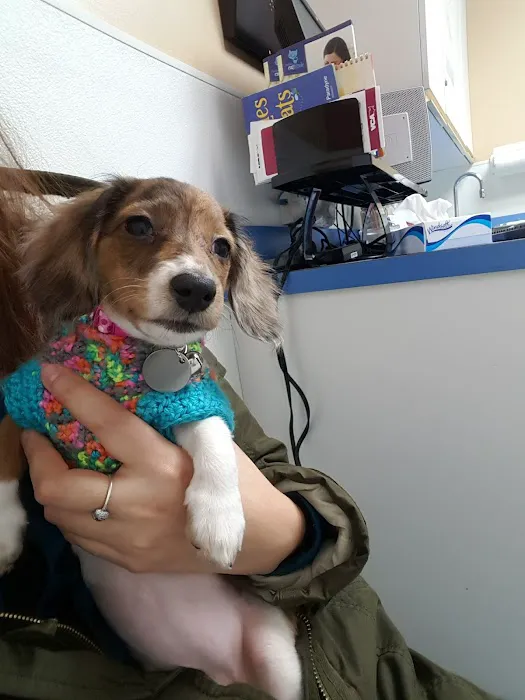 Manhattan Veterinary Group 3