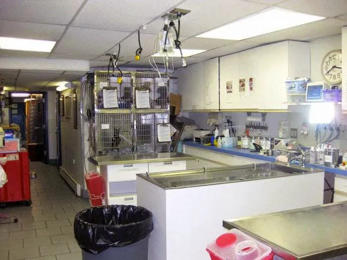 Manhattan Veterinary Group 6