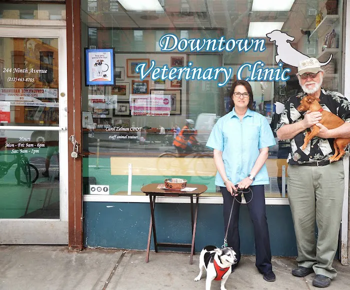 Downtown Veterinary Clinic 8