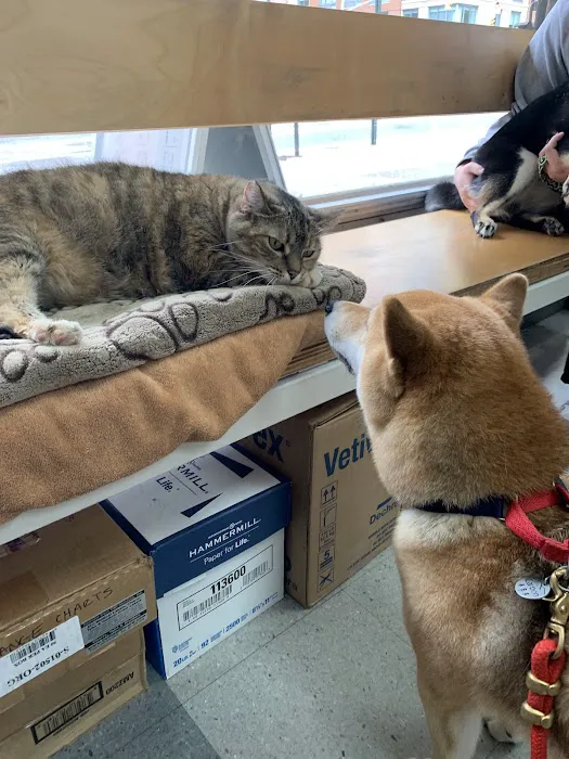Downtown Veterinary Clinic 6