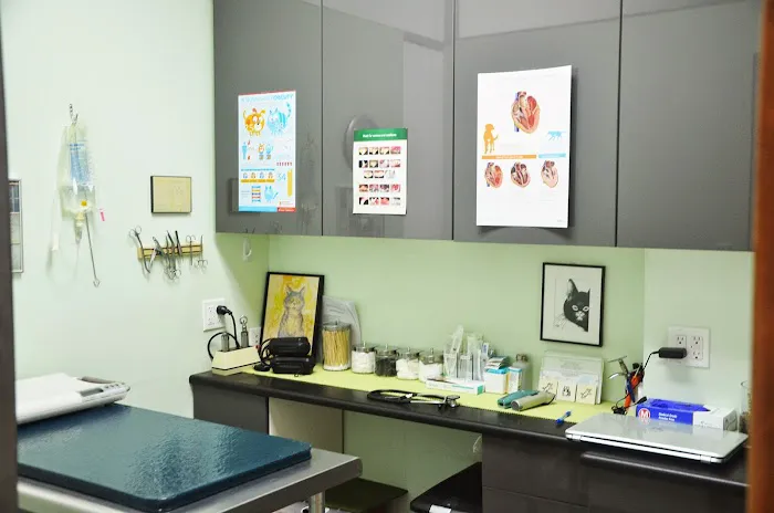 Downtown Veterinary Clinic 5