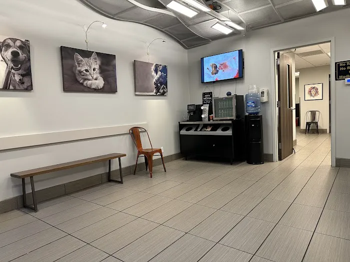 Pure Paws Veterinary Care of Hell's Kitchen 3