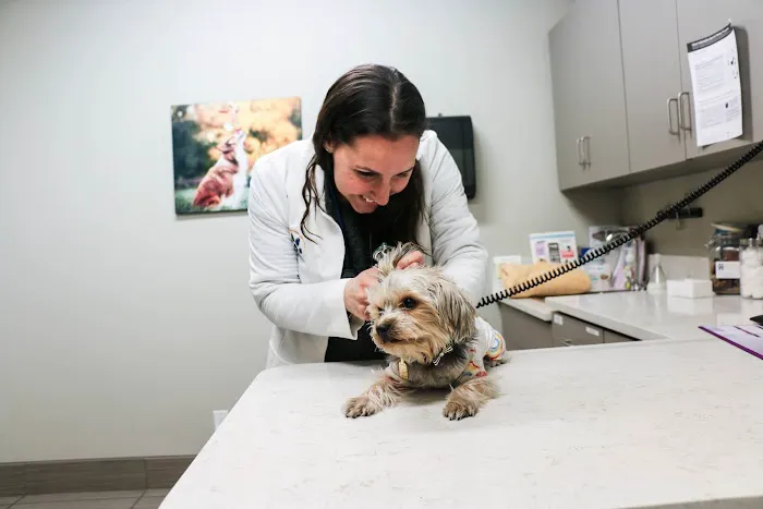 Pure Paws Veterinary Care of Hell's Kitchen 9