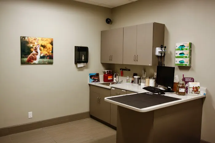 Pure Paws Veterinary Care of Hell's Kitchen 1