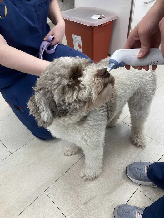 Heart of Chelsea Veterinary Group - Hell's Kitchen 1