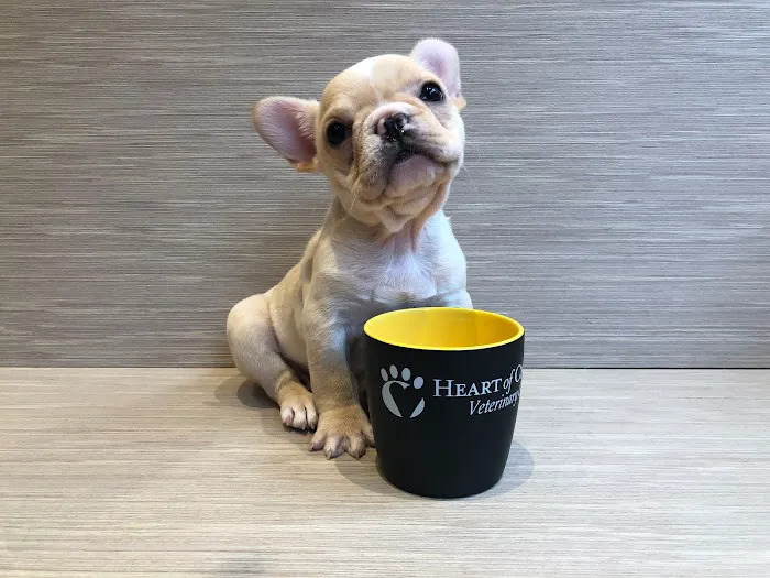 Heart of Chelsea Veterinary Group - Hell's Kitchen 10
