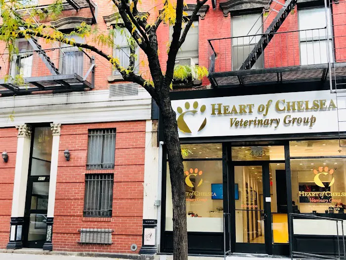 Heart of Chelsea Veterinary Group - Hell's Kitchen 9