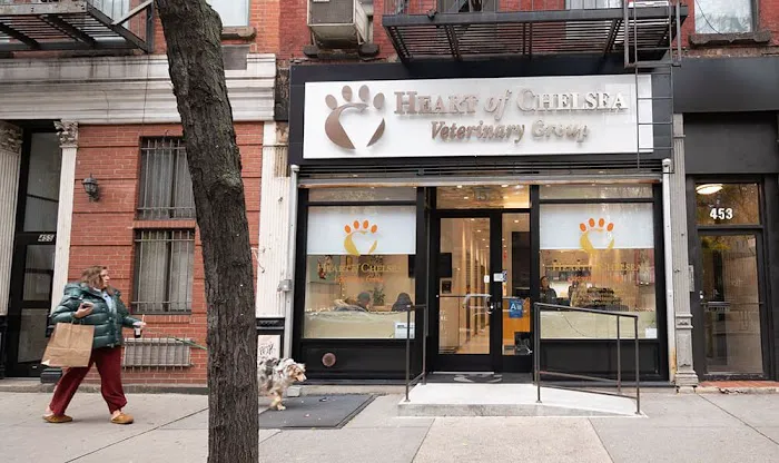 Heart of Chelsea Veterinary Group - Hell's Kitchen 4