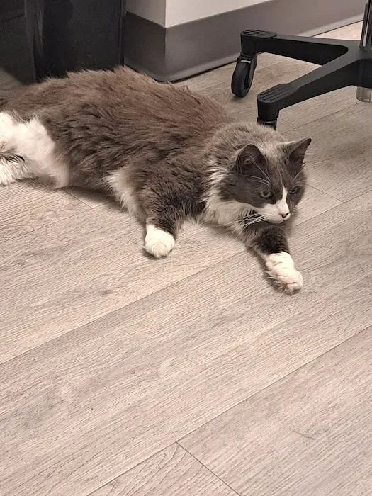 Veterinary Eye Center of New York City (Hell's Kitchen) 7
