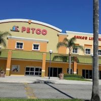 Petco ico