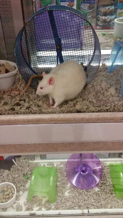 Petco 12