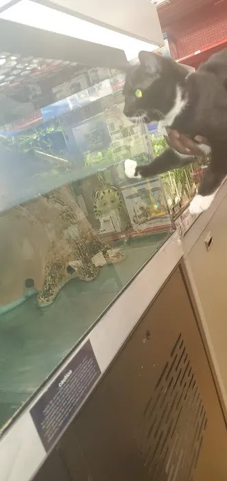 Petco 12