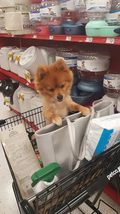 Petco 12