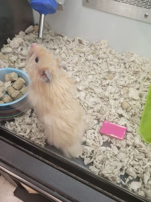 Petco 12